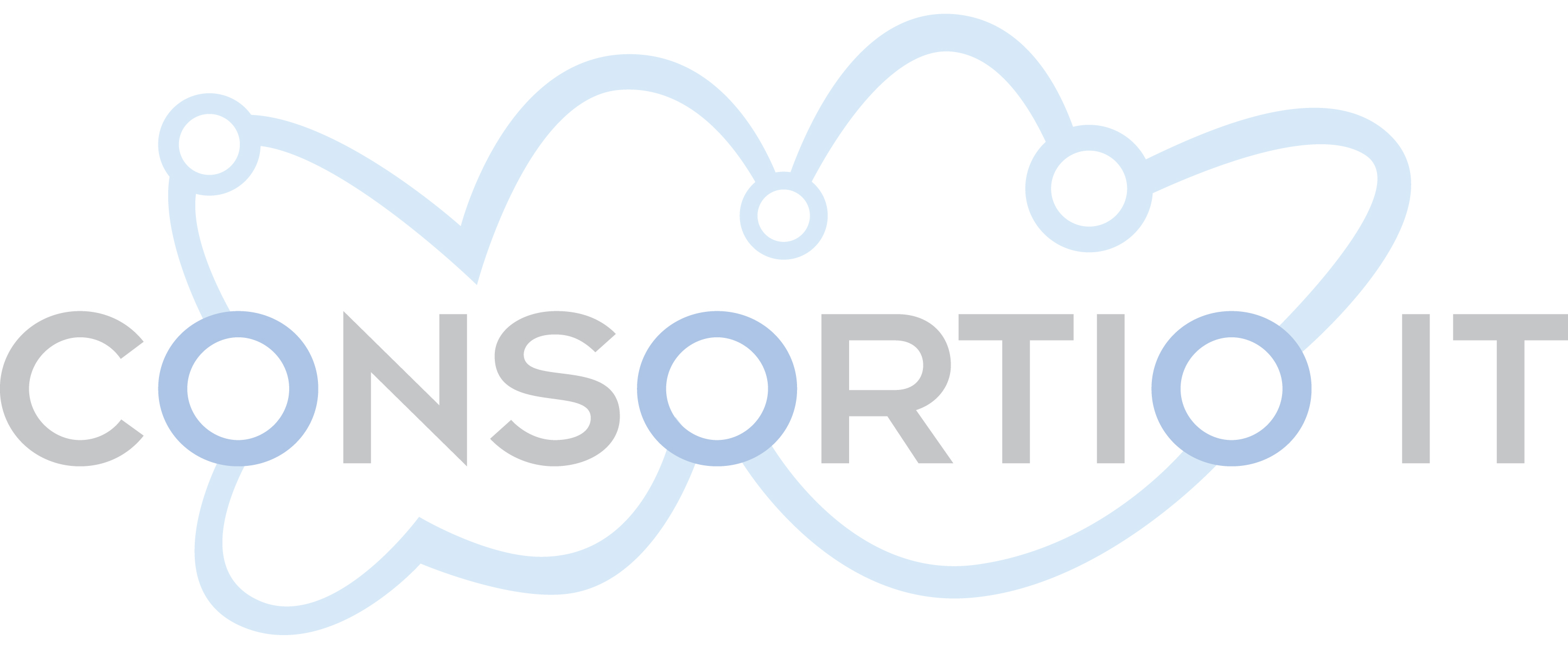 Consortio IT A Mobile WMS Partner